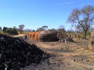 Carvoaria na fazenda Mangues (Foto: Michelly Oda / G1)