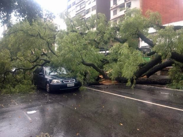 Chuva derrubou árvore sobre carro em São Paulo (Foto: Márcio Pinho/G1)