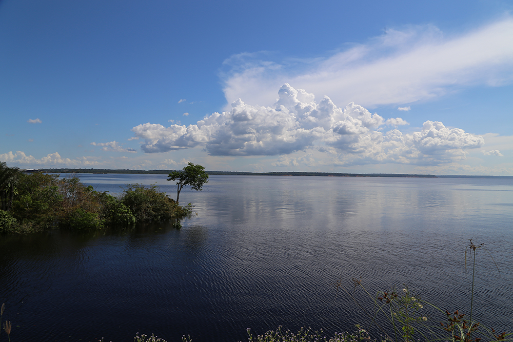 Na saída da ponte, belas paisagens surgem na época da cheia. Foto: Tereza Cidade