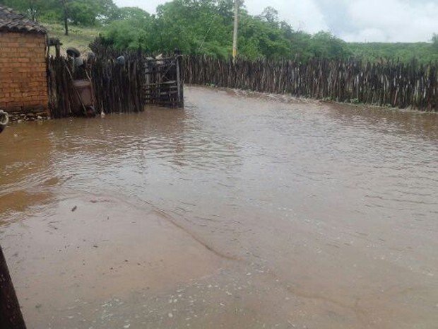 Casas ficaram alagadas após enchente em Dom Inocêncio (Foto: Maria das Mercês Oliveira)