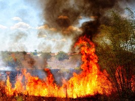 105 focos de calor foram registrados em Parnaguá (Foto: Clóvis Cruvinel)