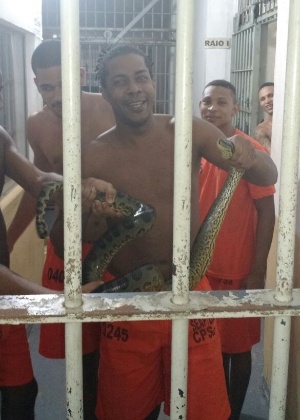 Uma cobra foi encontrada por presos dentro de uma das celas da penitenciária Lemos Brito, na Bahia