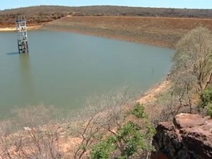 Mais de 70% dos peixes já morreram por causa da estiagem