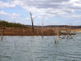 Barragem de Bocaína, uma das maiores do PI, está com 16% da sua capacidade (Foto: Gil Oliveira/ G1)