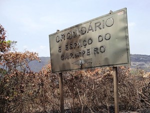 Orquídeas são um dos destaques da flora local. (Foto: Portal Chapada)