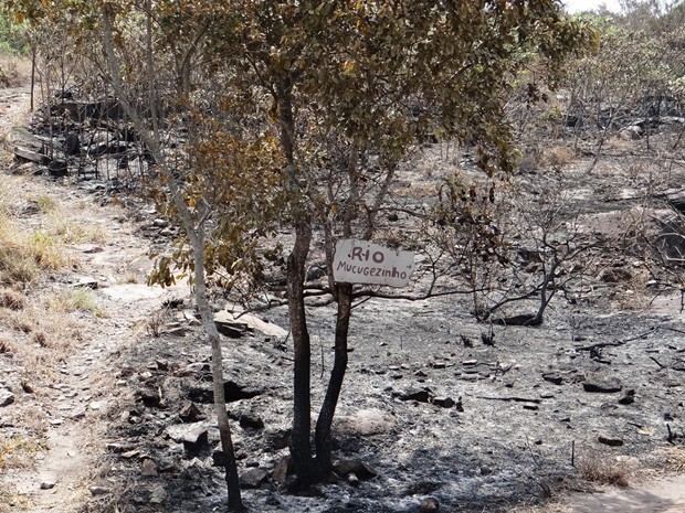 Trilha do Rio Mucugêzinho ficou destruída. (Foto: Portal Chapada)