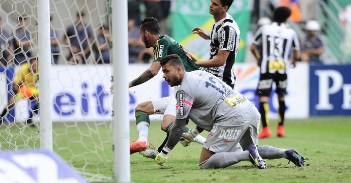 Palmeiras x Santos Final Gol Leandro Pereira (Foto: Marcos Ribolli)