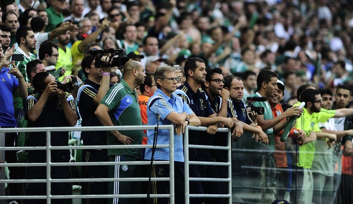 Palmeiras x Santos Final Oswaldo de Oliveira (Foto: Marcos Ribolli)