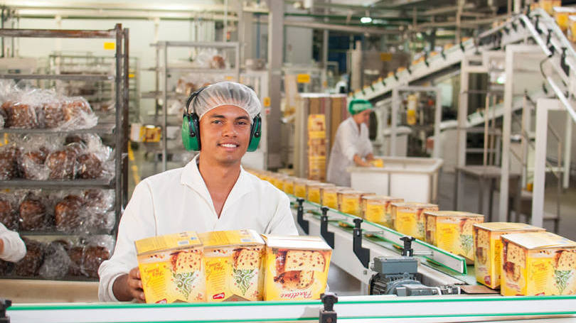 Processo de produção dos panetones e chocotones Bauducco