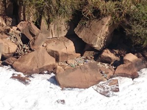 Ainda há entulho nas margens do rio Tietê (Foto: Ana Carolina Levorato/G1)