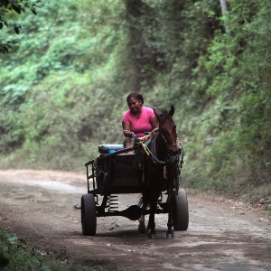 Oswaldo Rivas/Reuters