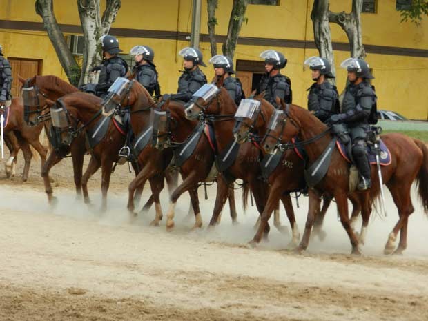 Cavalaria da Tropa de Choque terá proteção extra durante a Copa (Foto: Divulgação/Polícia Militar)