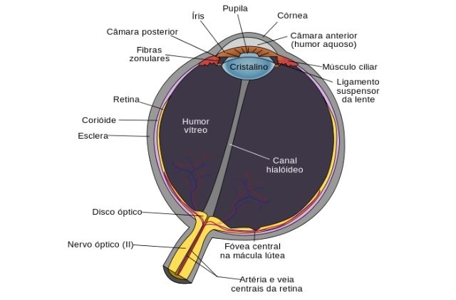 Por que saímos com os olhos vermelhos em fotografias tiradas com flash?