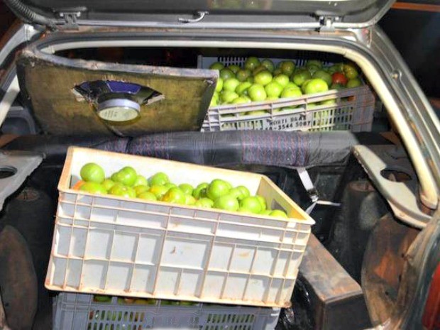 Caixas de tomates furtados estavam em carro (Foto: MT Notícias)