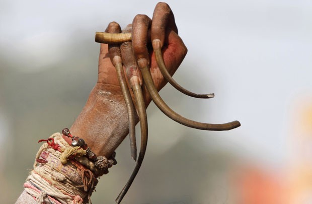 Sem cortar há vários anos, um devoto hindu exibiu unhas enormes durante um festival em Allahabad, na Índia. A cena foi registrada na quinta-feira (3) durante uma procissão em direção ao Sangam, na confluência dos rios Ganges, Yamuna e Saraswati. (Foto: Rajesh Kumar Singh/AP)