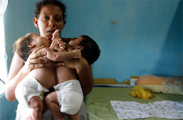 Davi e Saulo, que completam dois meses de vida neste sábado, compartilham o fígado. Pais pedem ajuda (Blenda Souto Maior/ DP/ D.A Press)