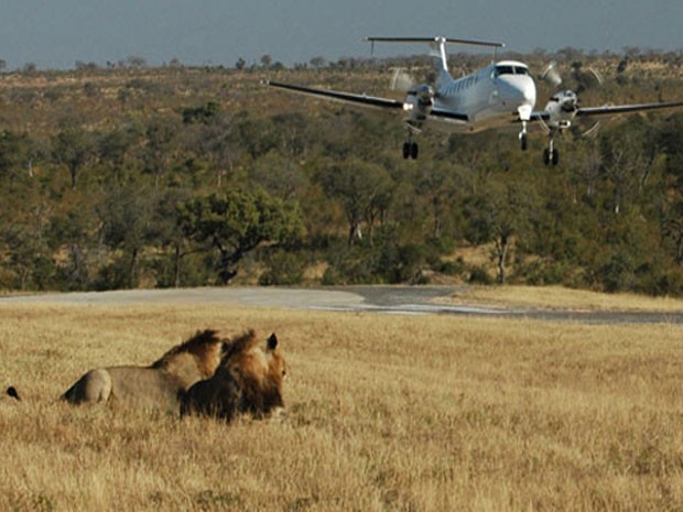 Aeroporto Phinda Airstrip, eleito um dos que oferecem os pousos mais belos do mundo (Foto: Divulgação/PrivateFly)