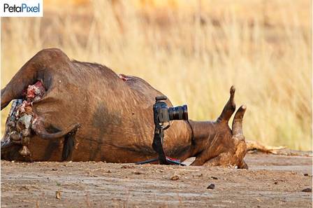 O fotógrafo registrou a posição da câmera antes do ataque