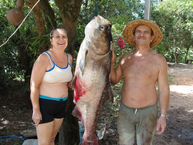 Carpa chinesa de 12 anos com 40 quilos foi pescada em açude no RS (Foto: Divulgação/Wylner César Fernandes Ribeiro)