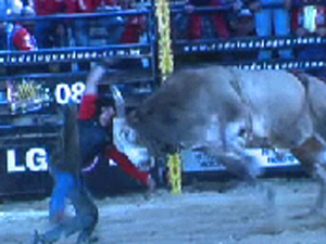 Telão exibe golpes do touro (Foto: Reprodução/EPTV)