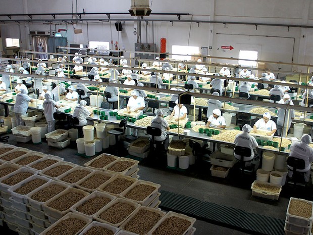 Fábrica da Usibras, em Mossoró, é maior exportadora de castanha de caju do país (Foto: Anderson Barbosa/G1)