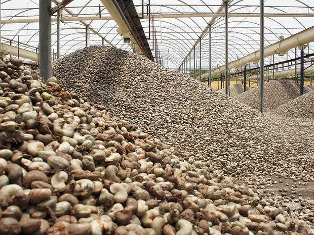 Além da seca, mercado de castanha também sofre impacto com a crise financeira (Foto: Anderson Barbosa/G1)