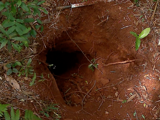 buraco do tatu em passo fundo (Foto: Reprodução/RBS TV)