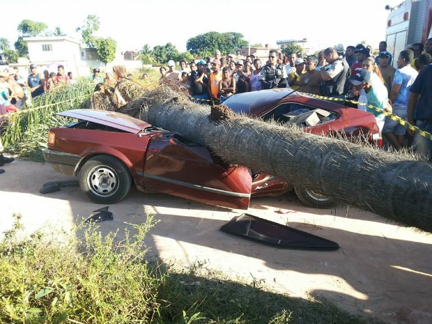 Carro ficou completamente destruído após acidente (Foto: Divulgação/Corpo de Bombeiros)