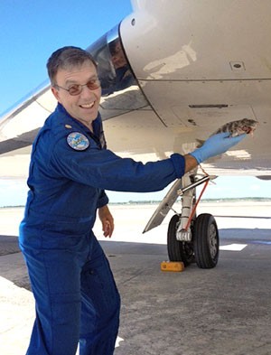 Piloto de um caça americano precisou abortar a decolagem depois que um peixe caiu do céu e atingiu a aeronave  (Foto: MacDill Air Force Base/AP)