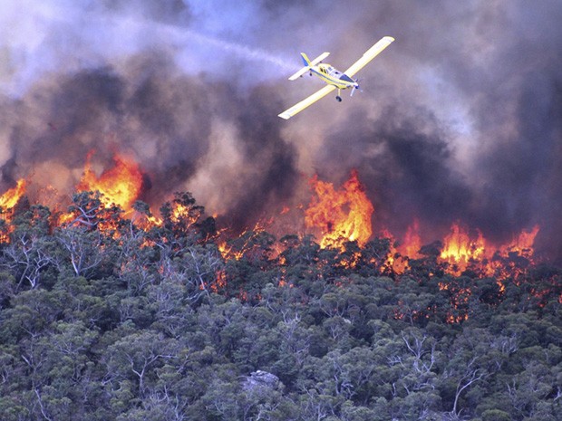 Avião tenta combater as chamas em incêndio florestal na Austrália. (Foto: Country Fire Authority/AP)