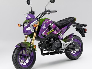 Honda MSX 125 Donatello (Foto: Divulgação)