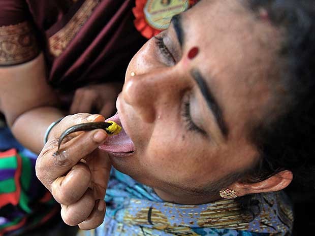 Indianos engolem peixe vivo com erva medicinal como cura para asma e outros distúrbios respiratórios. (Foto: Noah Seelam / AFP Photo)