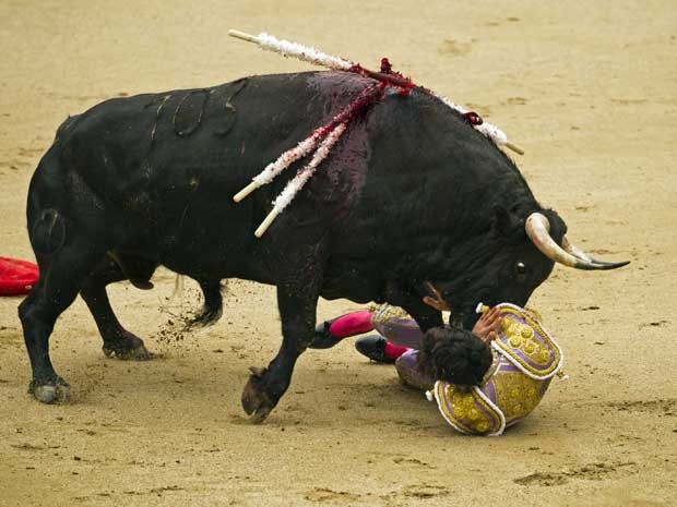 O animal chifrou a coxa direita do francês, o derrubou e tentou acertá-lo outras vezes. (Foto: Daniel Ochoa de Olza / AP Photo)