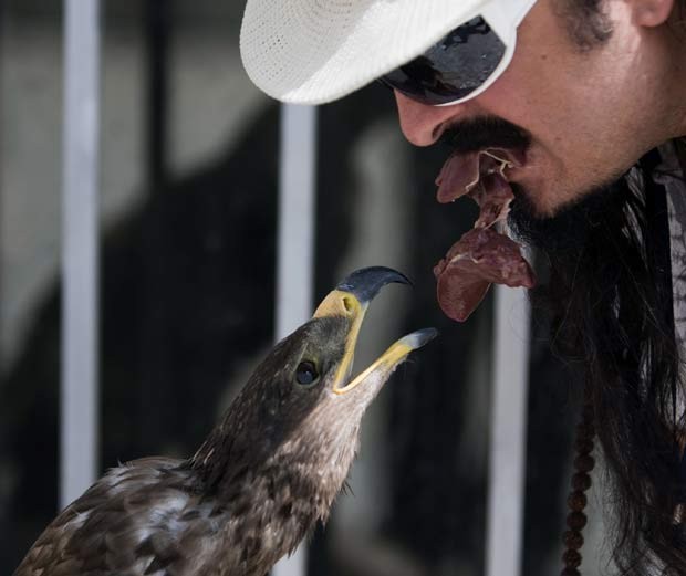 Apelidado de 'padrinho dos animais', o indiano Amir Rahbari mantém vários bichos de estimação em seu apartamento no norte de Teerã (Irã). Ele chega a alimentar sua águia chamada 'Parnaz' com a própria boca.  (Foto: Morteza Nikoubazl/Reuters)